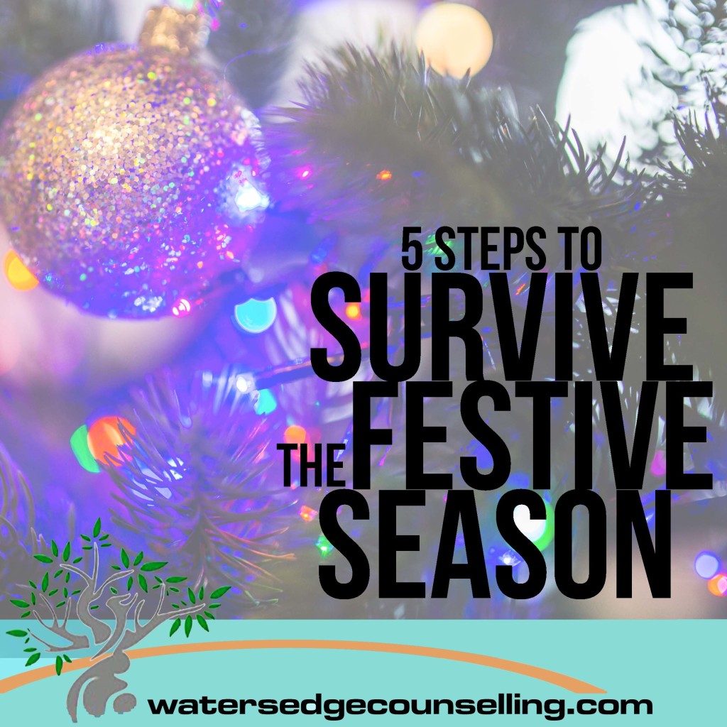 5 Steps to Survive the Holiday Season