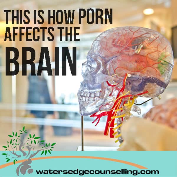 This Is How Porn Affects The Brain Watersedge Counselling