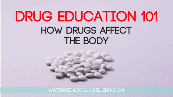 Drug Education 101: How drugs affect the body