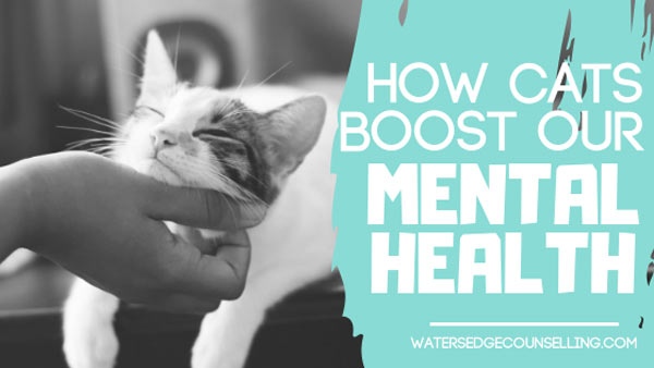 How cats boost our mental health