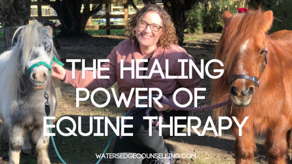 The healing power of Equine Therapy
