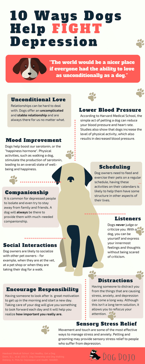 How dogs help with depression and anxiety - Watersedge Counselling